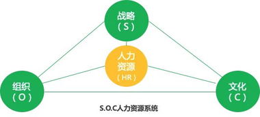 企業策劃視角下HR部門為何不受重視及優化路徑